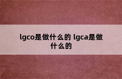 lgco是做什么的 lgca是做什么的